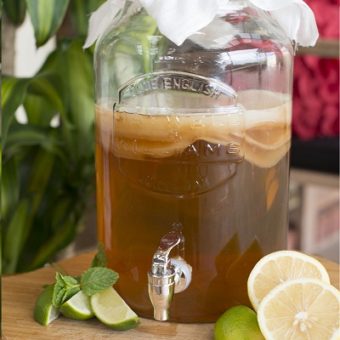 Make Kombucha Master Class Kit And Video